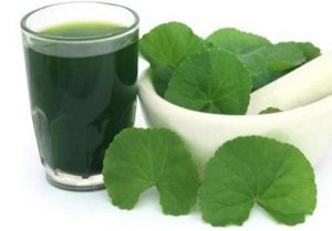 Dùng rau má là mẹo dân gian chữa gan nhiễm mỡ được nhiều người ưa dùng